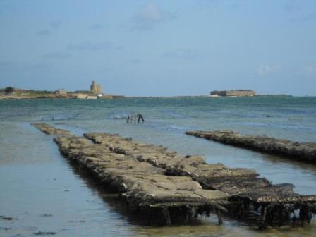 Manoir En Cotentin , Tamerville エクステリア 写真