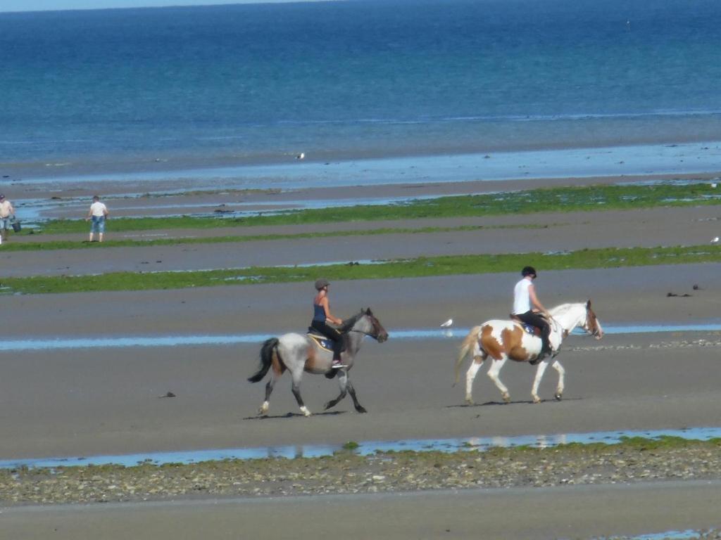 Manoir En Cotentin , Tamerville エクステリア 写真