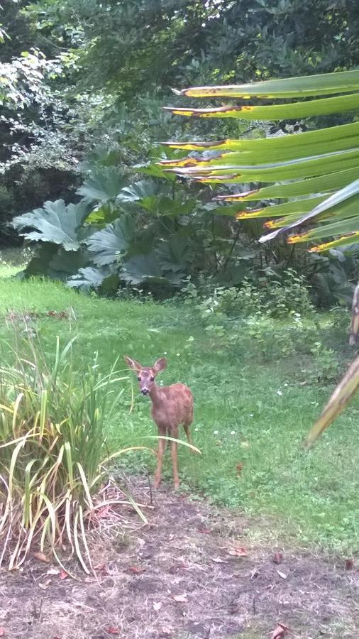 Manoir En Cotentin , Tamerville エクステリア 写真
